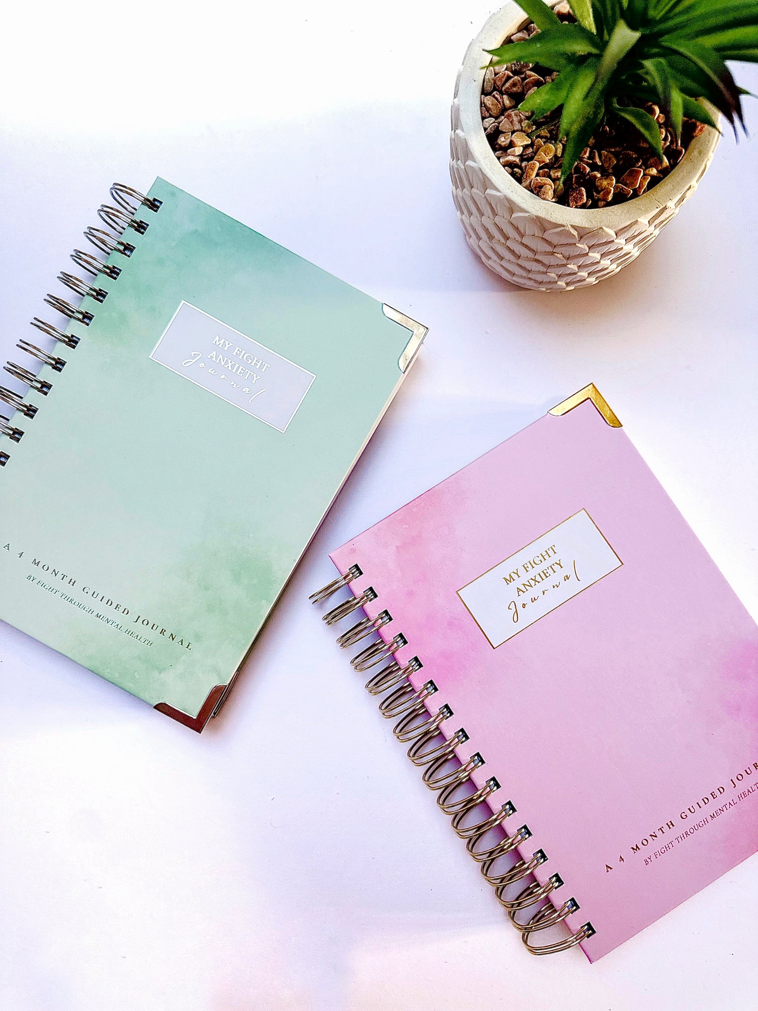 MY “FIGHT ANXIETY” JOURNAL (Pink & Gold / Green & Silver)